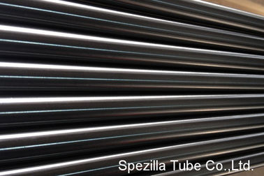 High Purity Polished 2 stainless steel pipe 20ft Fixed Stainless Steel TP 316L